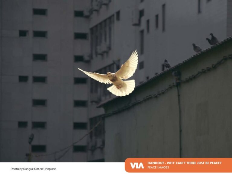 Handout_Polarization-VIA-Peace_preview