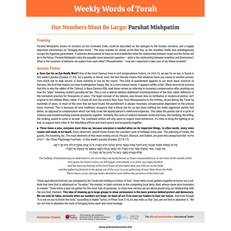 Weekly_Words_of_Torah_Parsha_Page_Our_Numbers_Must_Be_Large_preview