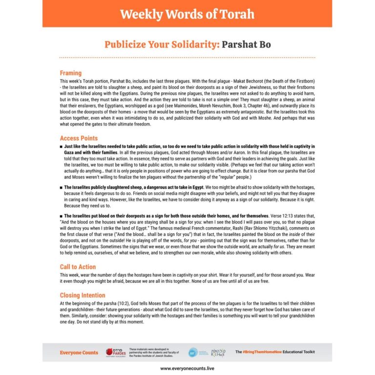 Weekly_Words_of_Torah_Parsha_Page_Publicize_Your_Solidarity_preview